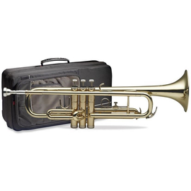 Труба STAGG 77-T/SC, фото 